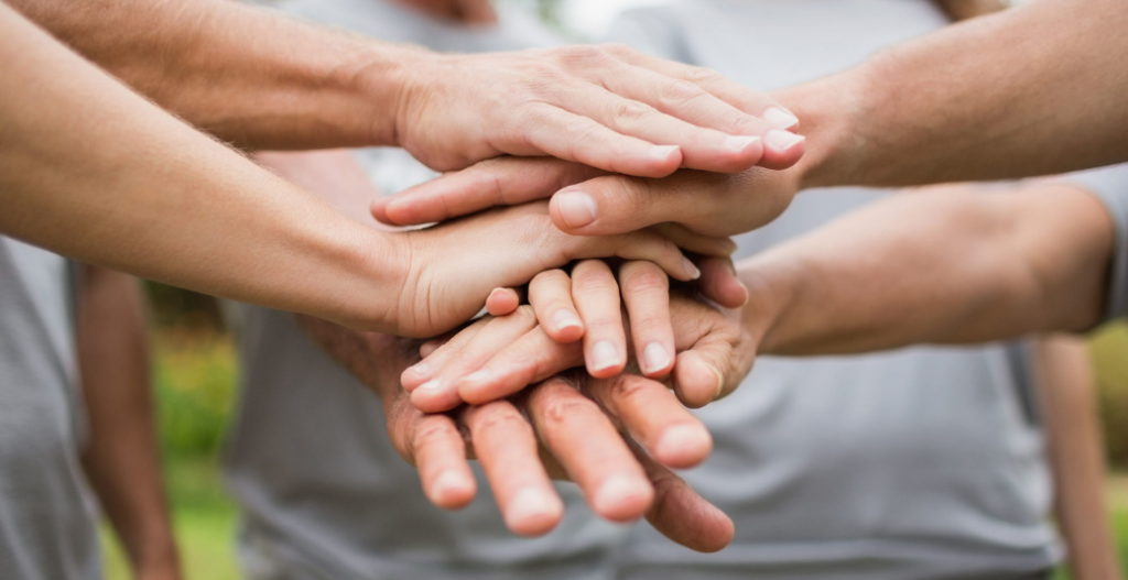 volunteer program parks and rec